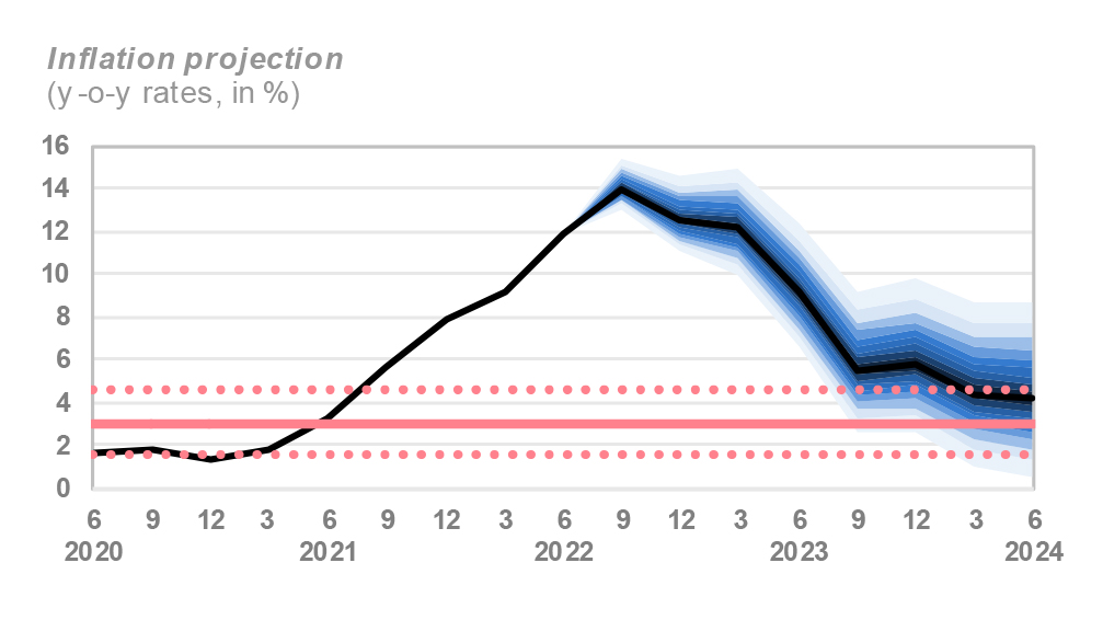 Inflation in Serbia amounted to 12.8% in July